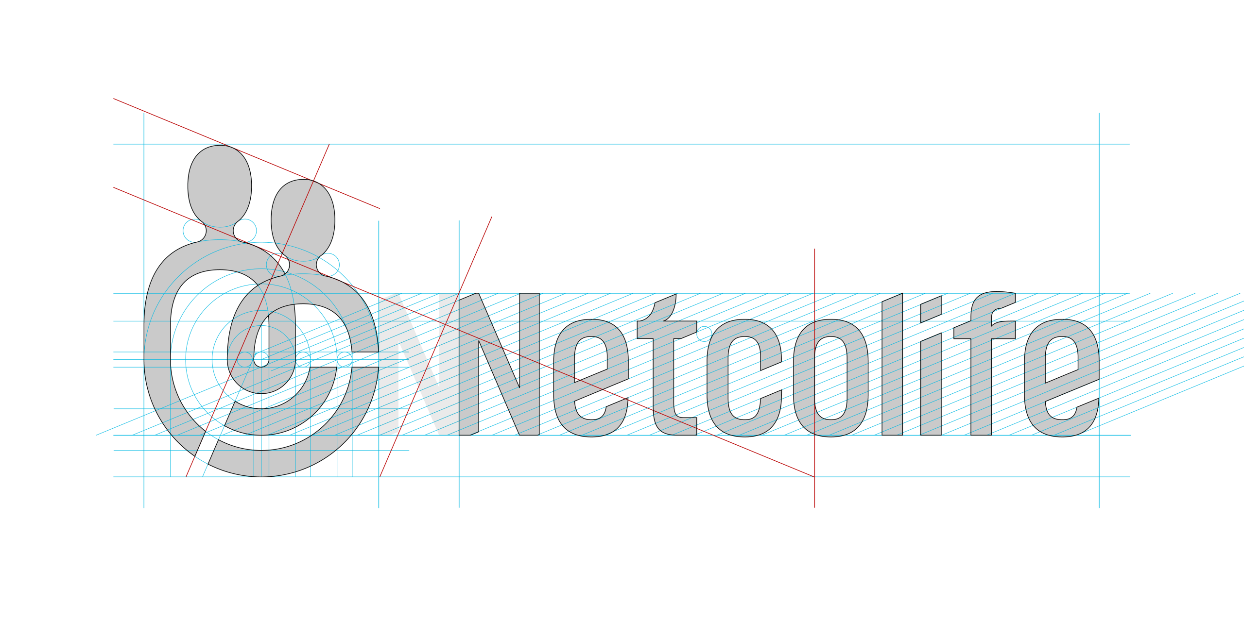 Viganò-com_Netcolife_Logo construction